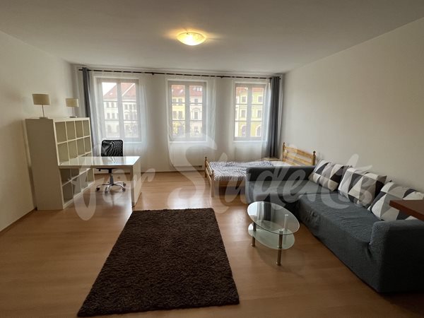 Spacious studio apartment in the Old Town, Hradec Králové - 15/23