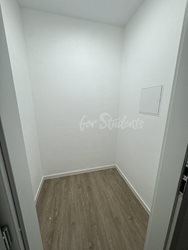 Newly reconstructed one bedroom apartment in Žižkov, Prague - IMG_7728