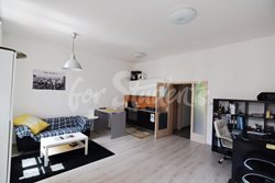One bedroom apartment in perfect location close to city centre, Hradec Králové - DSC_0156