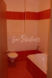 One bedroom apartment available in Old Town, Hradec Králové - CIMG0949