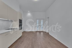 Brand new luxurious two bedroom apartment in city centre with terrace and garden, Hradec Králové - DSC09814