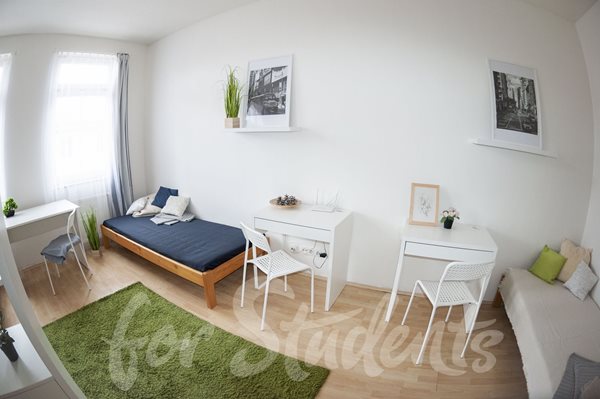 Place in a triple room close to city centre - RB04/23