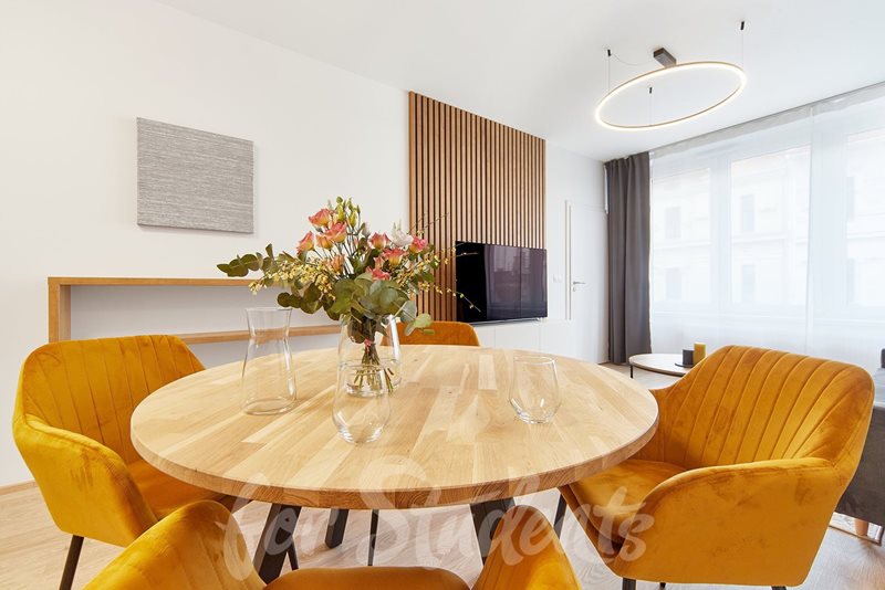 Brand new one bedroom apartment close to Brno city centre  (file csm_vranovka_byt_3_5_060262_9e571e8403.jpg)