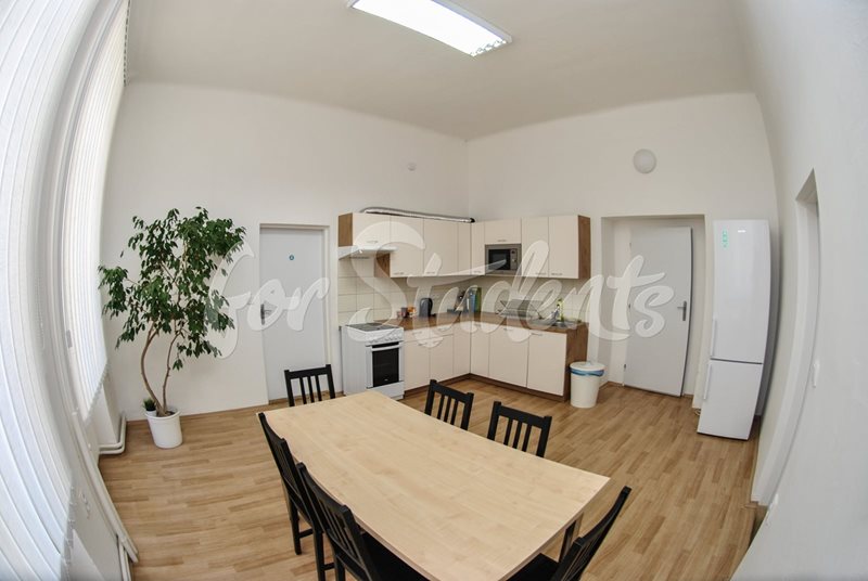 Place for a girl in shared double room in a shared apartment-Brno city centre (file kuchyn.jpg)
