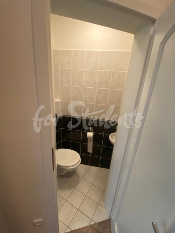 Spacious two bedroom apartment in New Town, Hradec Králové (file WhatsApp-Image-2021-07-29-at-11-58-10-(4).jpg)