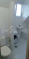 One bedroom apartment in a villa available for rent, Prague - ec1