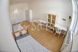 Place for girl in a double room in a shared apartment Brno-center - pokoj