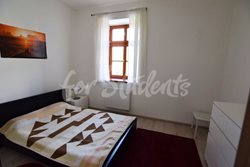 One bedroom apartment in perfect location close to city centre, Hradec Králové - DSC_0141