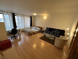 Spacious one bedroom apartment in the Old Town, Hradec Králové - IMG_8083