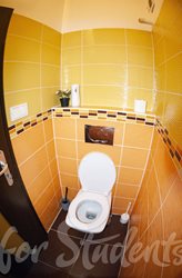 Place in a triple room close to city centre - DSC_0355