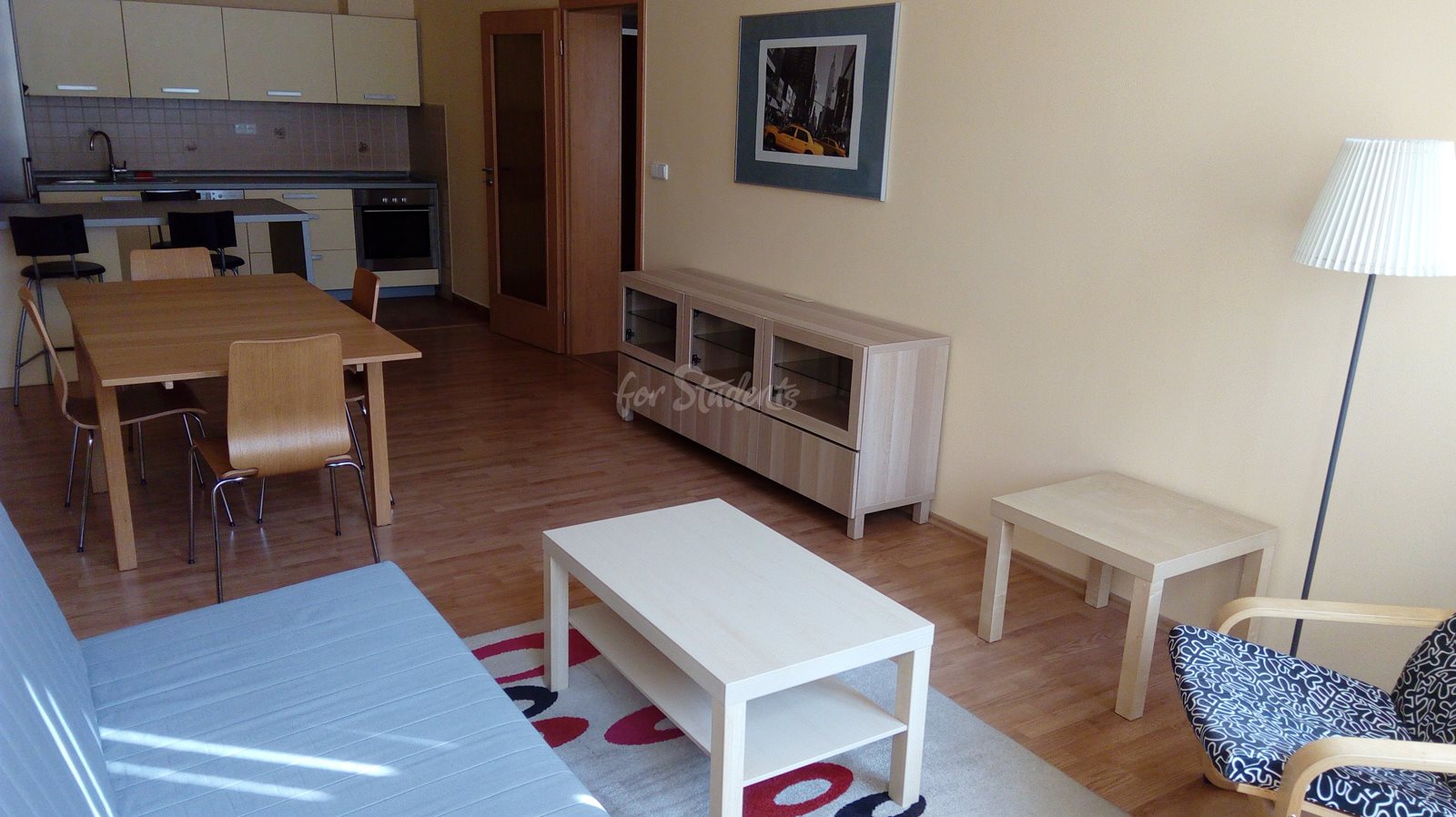 Spacious one bedroom apartment in the Old Town, Hradec Králové