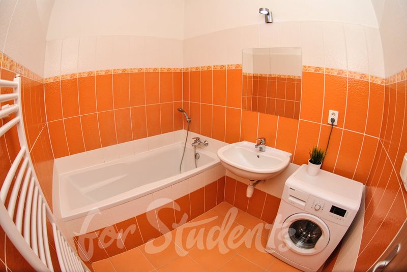 Place in partially walk through double room in a shared apartment, Brno  (file DSC_0145-1.jpg)