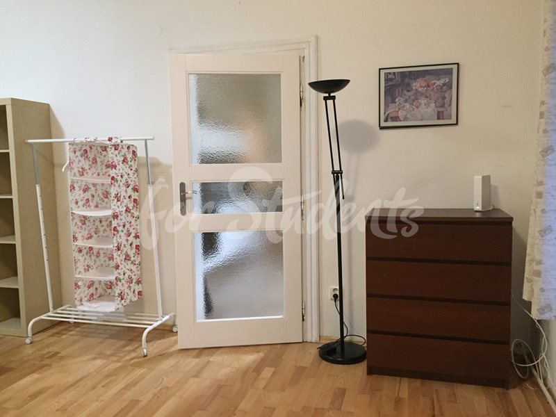 Spacious one bedroom apartment in New Town, Hradec Králové (file IMG_8078.jpg)
