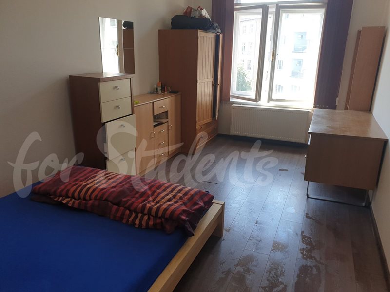 One bedroom available in a male three bedroom apartment in Divišova street, Hradec Králové (file 288268143_5133123330127922_1445973442103792281_n.jpg)