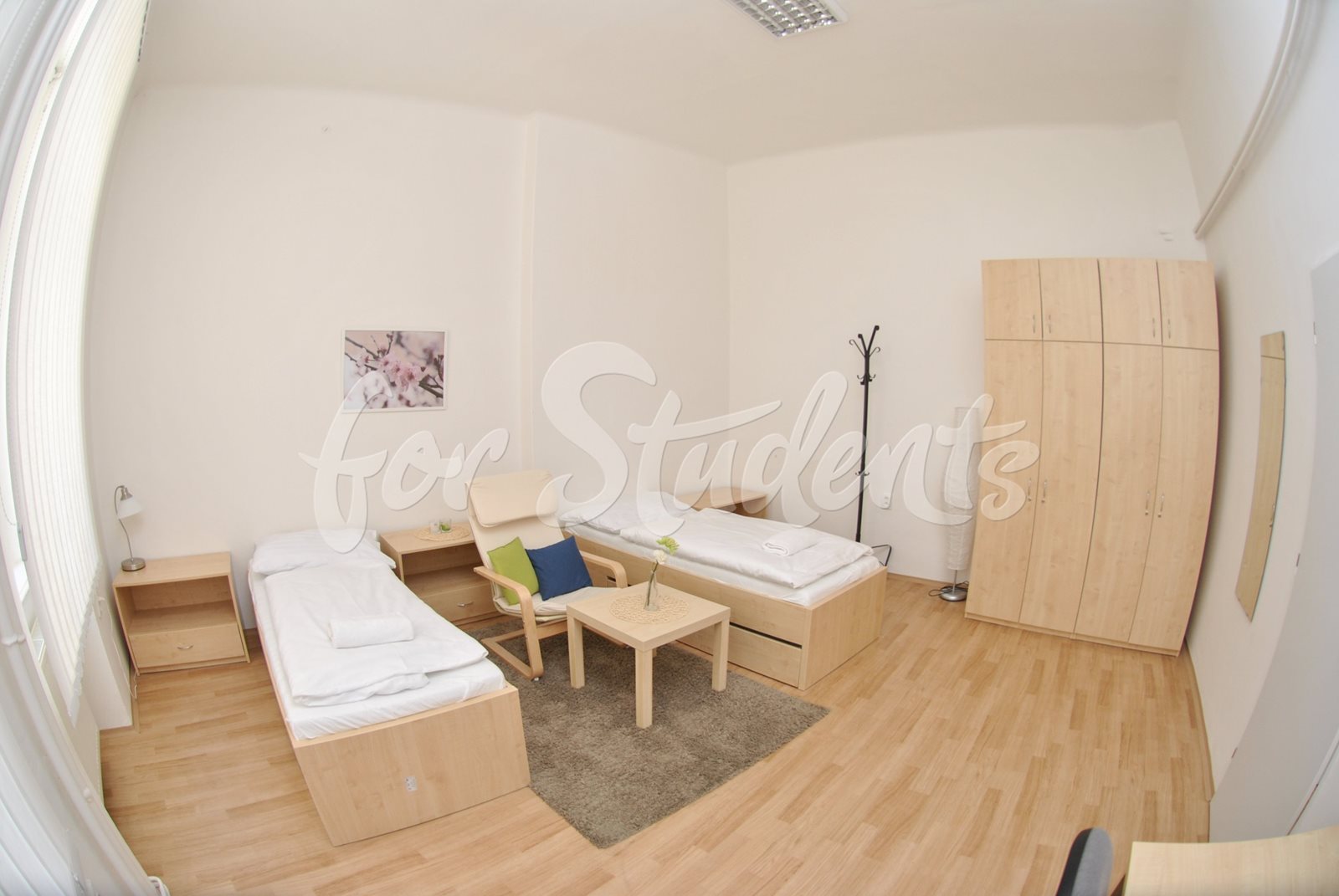 Double room in a shared apartment in the Brno city centre