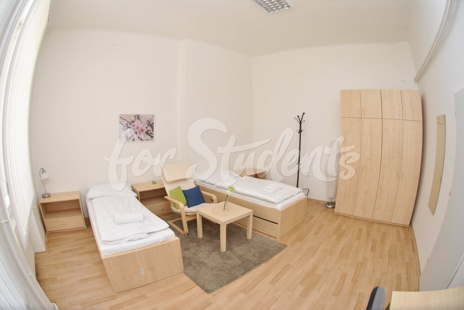 Place for a girl in shared double room in a shared apartment-Brno city centre
