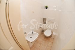 Double room in a shared apartment - wc