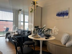 Modern studio apartment near Masaryk University, Brno  - PHOTO-2025-08-21-13-17-16-2