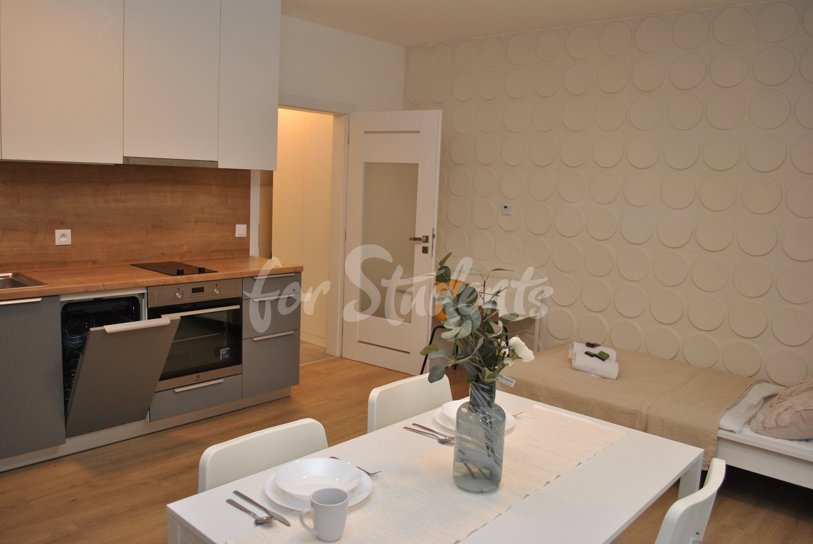 Cozy modern studio apartment, Brno