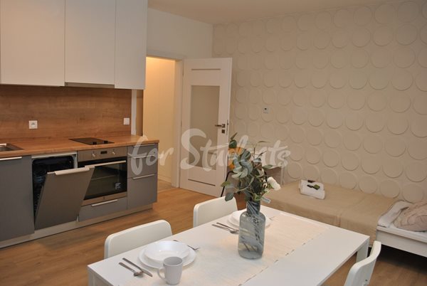 Cozy modern studio apartment, Brno - B9/25
