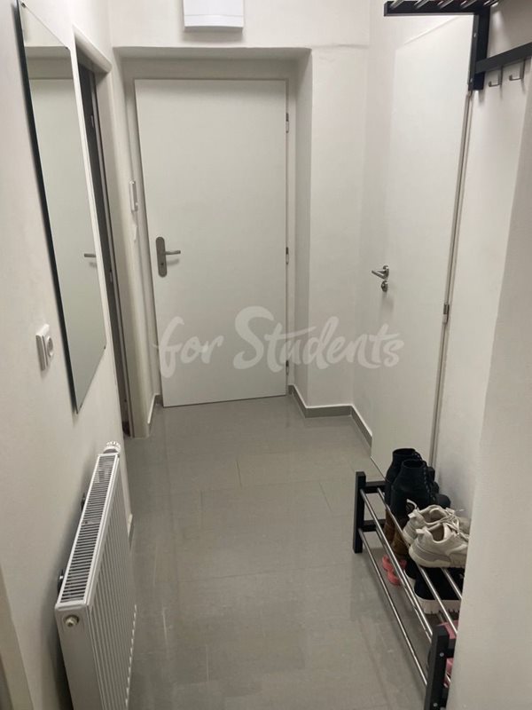 One bedroom apartment in the Old Town, Hradec Králové (file IMG_4767-2.jpg)