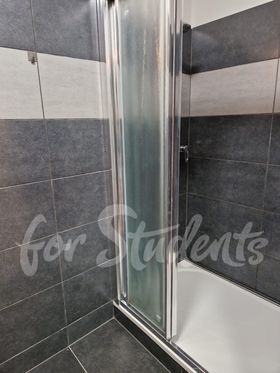 Light and furnished 1+1 apartment, close to the city centre, Brno (file 345591054_545110301163904_4043987022335866351_n.jpg)