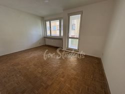 Spacious three bedroom apartment, Brno - IMG_4154
