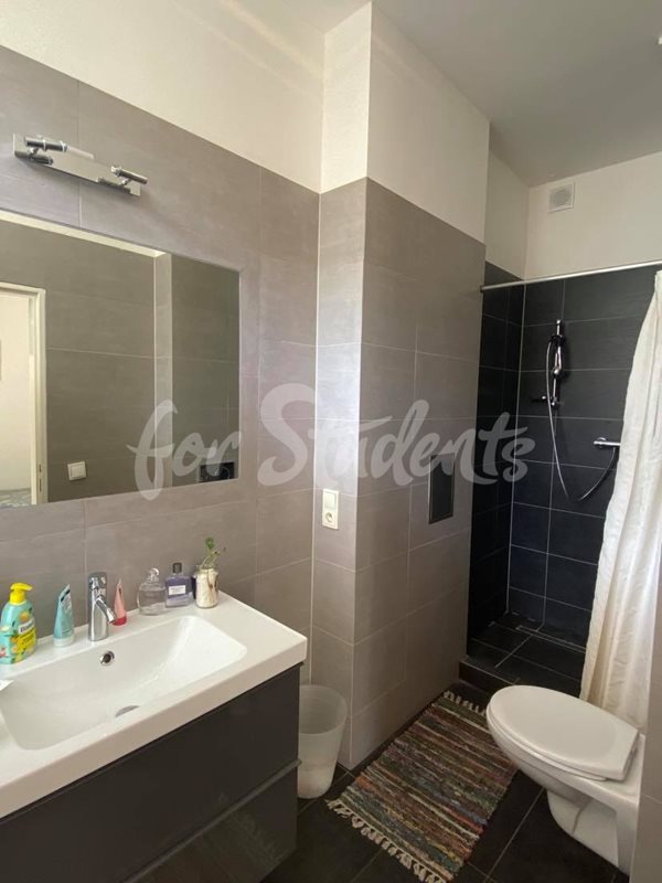 One room with a private bathroom in a spacious four bedroom apartment in the city center, Prague  (file 106589842_1197165643965924_3635679008926086798_n.jpg)