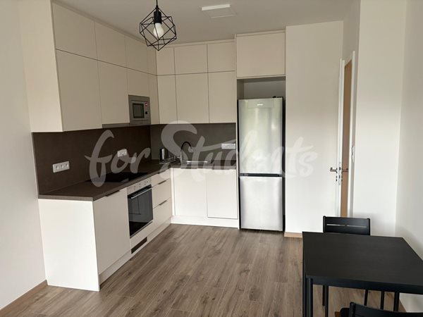 Modern one bedroom apartment, Prague  - P16/25