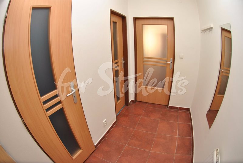 Place in partially walk through double room for girl in a shared apartment, Brno Discount for summer  (file chodba.jpg)