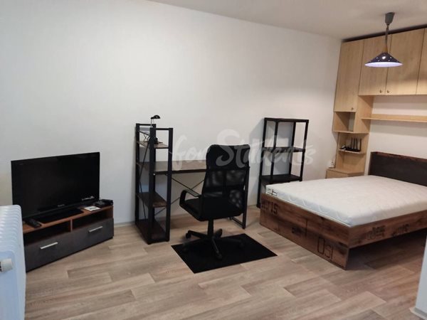 Spacious studio apartment near the Faculty of Pharmacy, Hradec Králové - 70/23