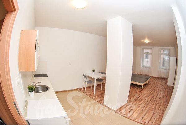 Studio flat for 3 people, close to Brno city centre - B08/23