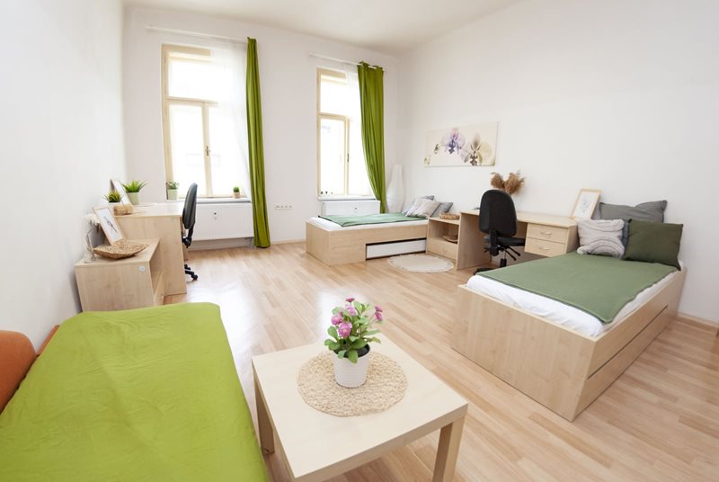 One bedroom available in three bedrooms apartment on Dominikánské náměstí, Brno  (file DSC_0565.jpg)