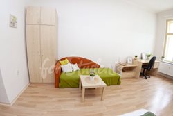 One bedroom available in a three bedroom apartment in the city center, Brno - DSC_0566
