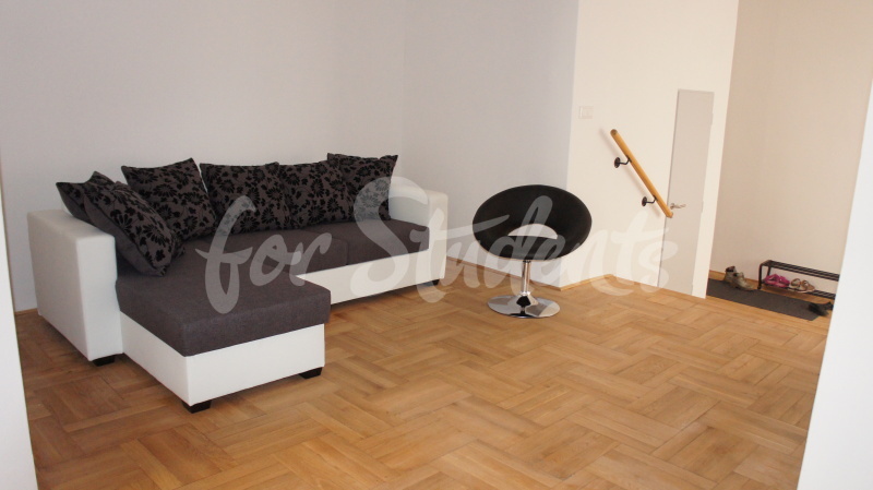 Modern three bedroom apartment in the Old Town, Hradec Králové (file DSC00293.jpg)