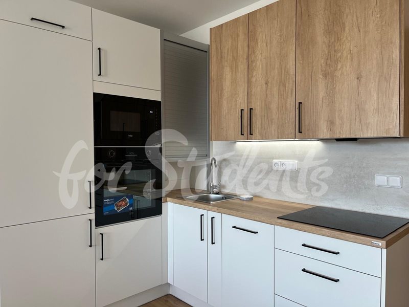 Modern studio apartment near Masaryk University, Brno  (file PHOTO-2025-08-21-13-18-26-2.jpg)