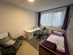 One room available in a three bedroom apartment, Prague - IMG_4048