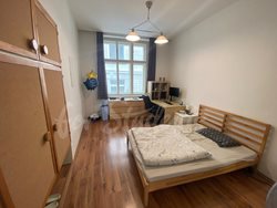 Spacious three bedroom apartment in the Old Town, Hradec Králové - IMG_8052