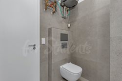 Brand new luxurious two bedroom apartment in Tylovo nábřeží, Hradec Králové - DSC09884