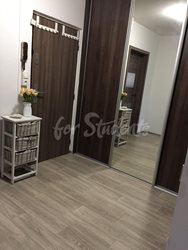 Modern two bedrooms apartment in Pod Zámečkem, Hradec Králové - image3