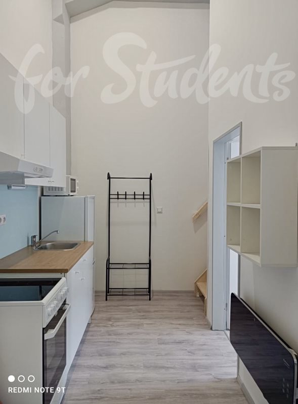 3 bedroom apartment in Brno-old town (file 89863421-69A2-4DD5-AD46-1CE10C291812_1_201_a.jpg)