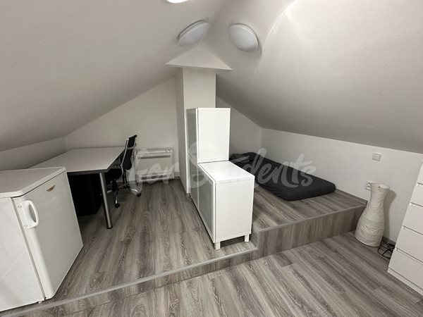 Modern studio apartment in the city center, Hradec Králové - 15/25