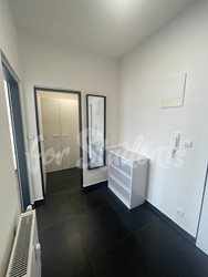 Bright and spacious one bedroom apartment on Bratislavská Street, Brno - 354573221_214507121535511_4905497436382915824_n