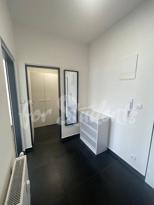 Bright and spacious one bedroom apartment on Bratislavská Street, Brno (file 354573221_214507121535511_4905497436382915824_n.jpg)
