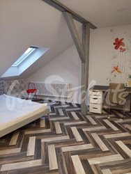 One room available in a two bedroom apartment, Prague - 0240503_195046
