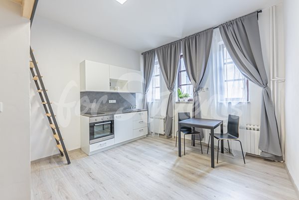 Newly bright reconstructed studio apartment in city centre, Hradec Králové - 44/23
