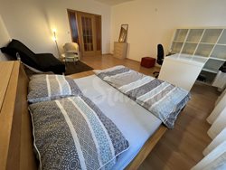 Spacious one bedroom apartment in the Old Town, Hradec Králové - IMG_8084-(1)