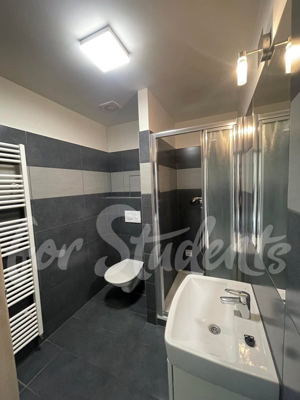 2kk apartment close to city centre, Brno (file 348217056_907971523620778_6306146121482236387_n.jpg)